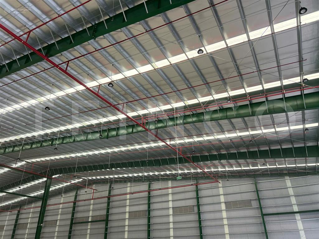 Kho xưởng 5.000 m² trong khu công nghiệp cần thơ, có pccc tự động, điện 3 pha, có nhiều cửa dock