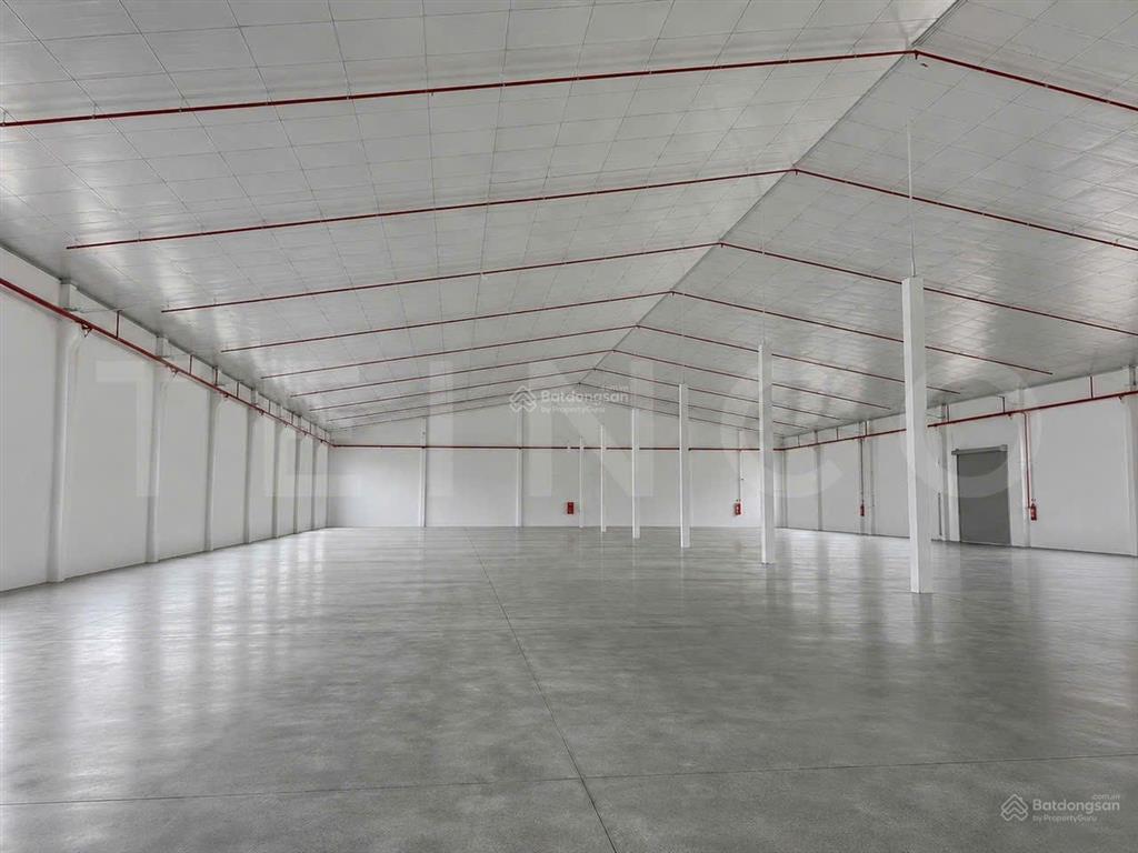 Kho xưởng 2.000 m2 đất skc có pccc tự động và trạm điện 3 pha, nhánh đường quốc lộ 1a