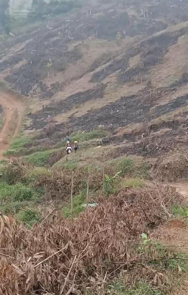 Bán đất rừng sản xuất tại kim bôi, hòa bình