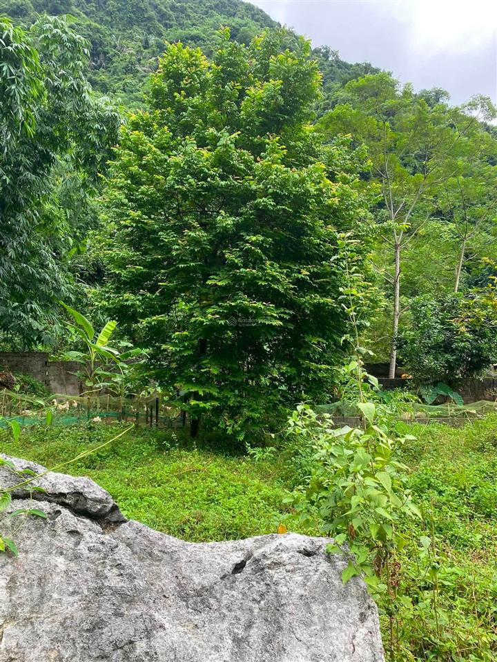 Bán đất trung tâm kim bôi siêu rẻ