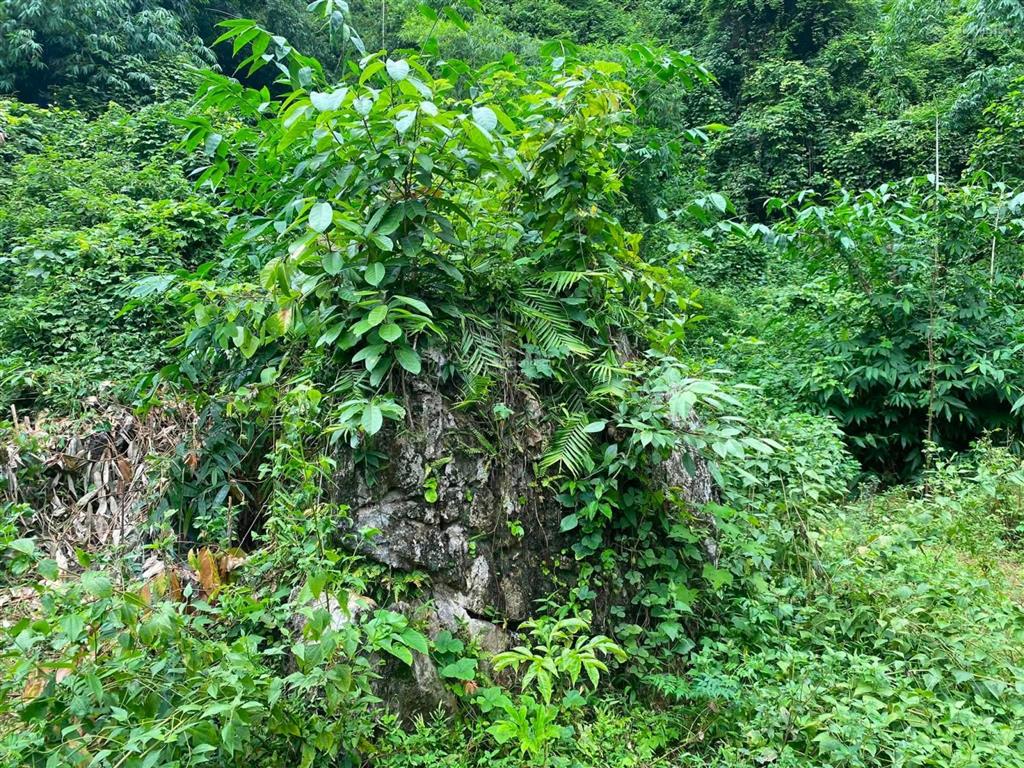 Bán đất trung tâm kim bôi siêu rẻ
