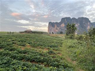 Bán 2654m2, có 300m2 thổ cư đất view hồ 10, mặt tiền rộng, hướng đông nam