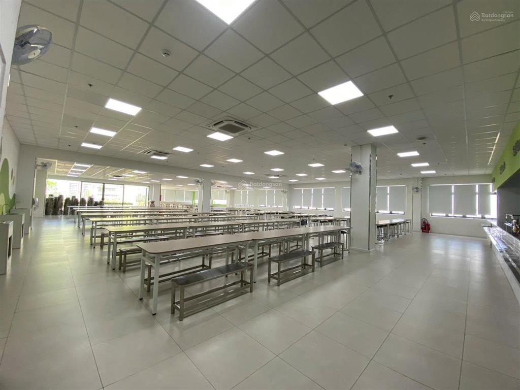 Cho thuê tòa nhà dtsd (2500m2)! phạm ngọc thạch p. võ thị sáu q3