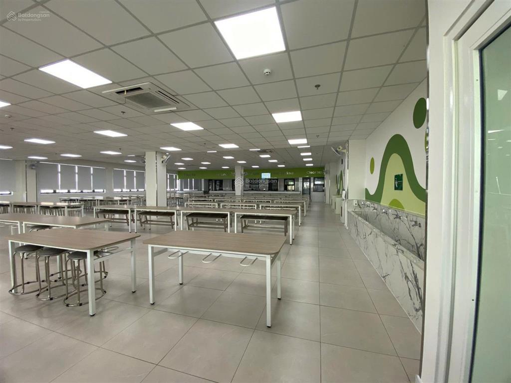 Cho thuê tòa nhà dtsd (2500m2)! phạm ngọc thạch p. võ thị sáu q3