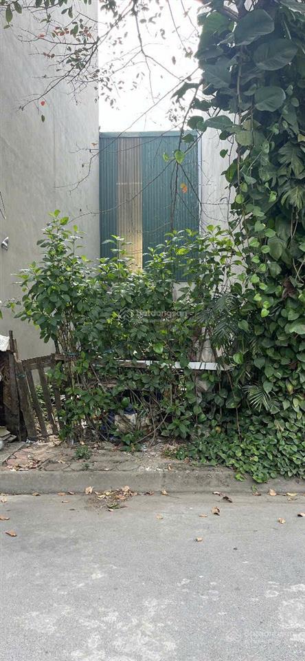 Bán gấp lô đất 40m tái định cư lạc thị ngọc hồi p.lô ô tô tránh vỉa hè k.doanh 7.8 tỷ