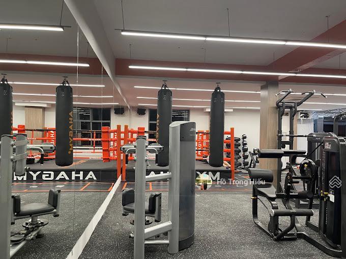 Giảm 4 tỷ! bán tòa nhà võ thị sáu, quận 3 (6x13m) hầm 6 tầng, kt 120tr/th, bán 26 tỷ