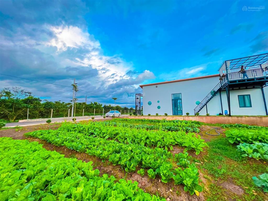 Chính chủ kẹt tiền bán gấp lô đất lộc an