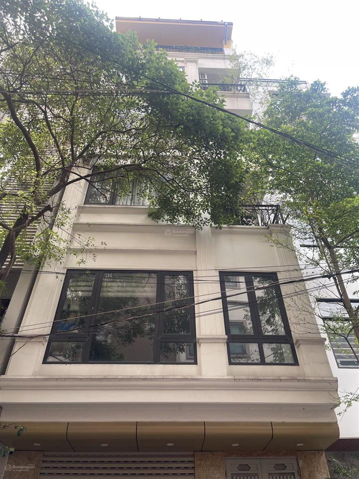 Phố trần quốc hoàn cầu giấy, ở kinh doanh văn phòng, ô tô tránh đỗ 60m, mt 5.8m, 23.8 tỷ .