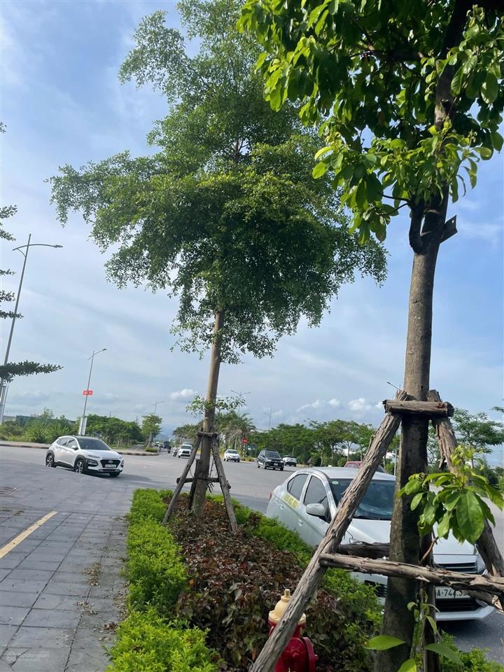 Chủ nhà cần tiền bán gấp căn shophouse sh2 centa city  giá chỉ 5,5 tỷ full thuế phí