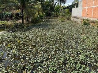 Bán đất 168m2 tại trần minh châu, phường 5, tân an, long an, giá cực chất 1,58 tỷ vnd