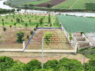 Bán gấp đất nền dự án 378m2, giá 1,5 tỷ tại thôn phúc tân, huyện lâm hà, lâm đồng