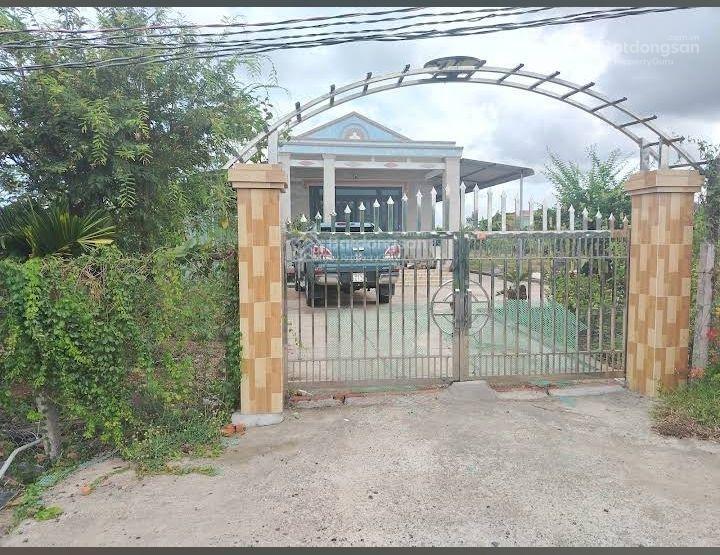 Bán trang trại cây ăn quả tại xuyên mộc.