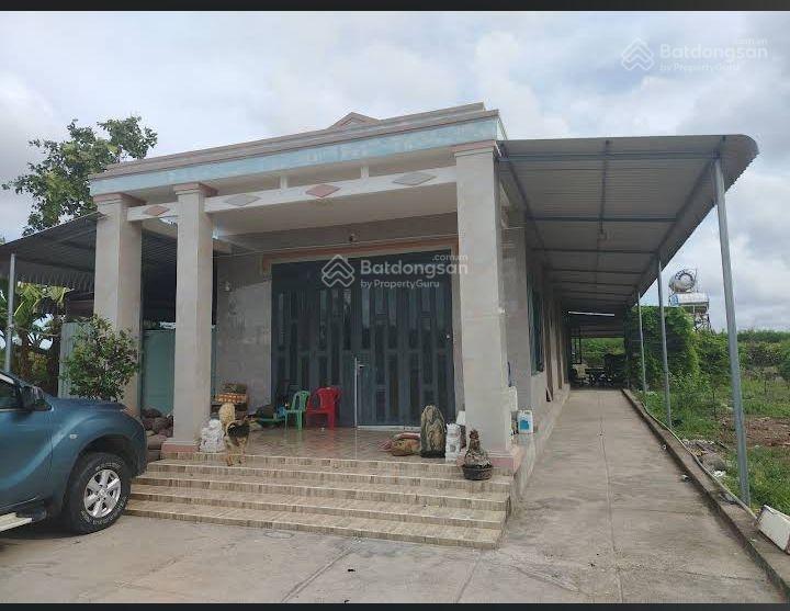 Bán trang trại cây ăn quả tại xuyên mộc.