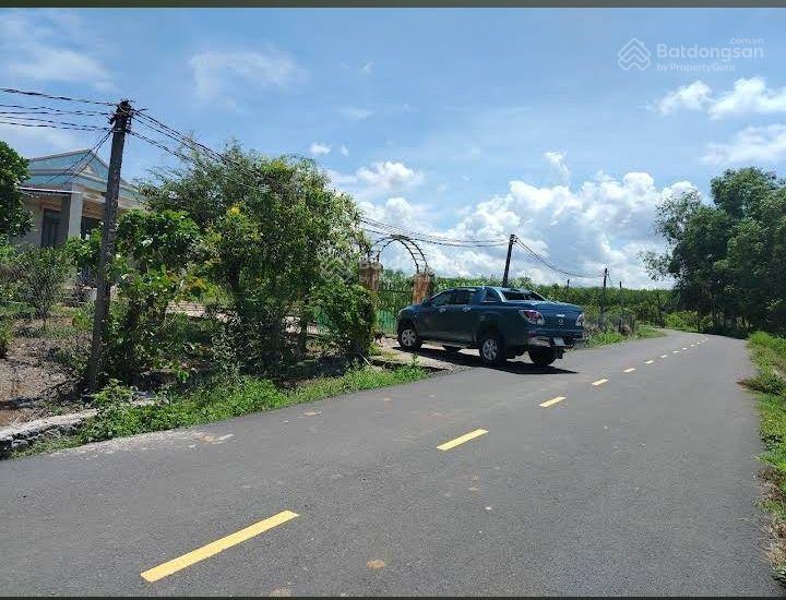 Bán trang trại cây ăn quả tại xuyên mộc.