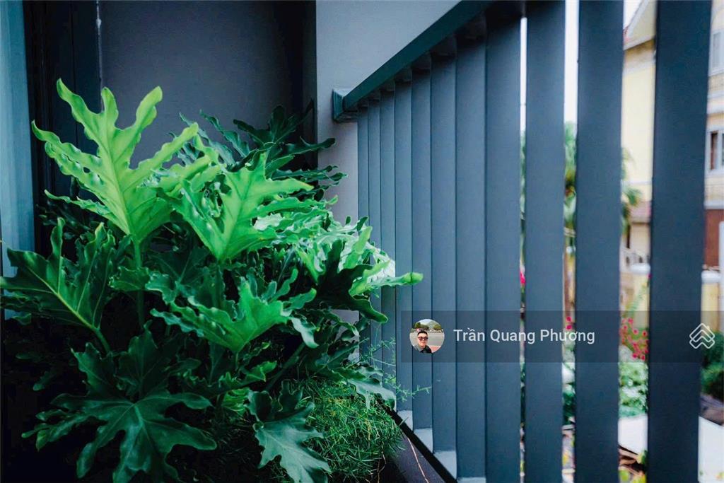 Biệt thự sân vườn view sông luxury house kdc tân qui đông, quận 7  11x20m  3 tầng  chỉ 51 tỷ