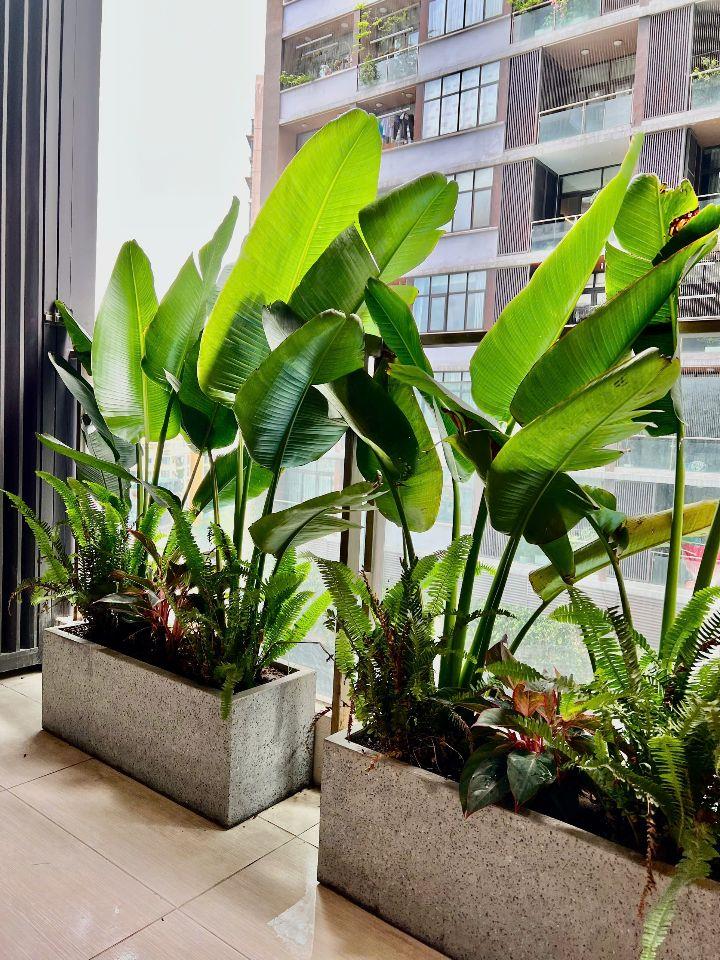 Bán căn hộ 3PN-122m2 tại Thanh Xuân Complex (24T3 Hapulico), giá tốt