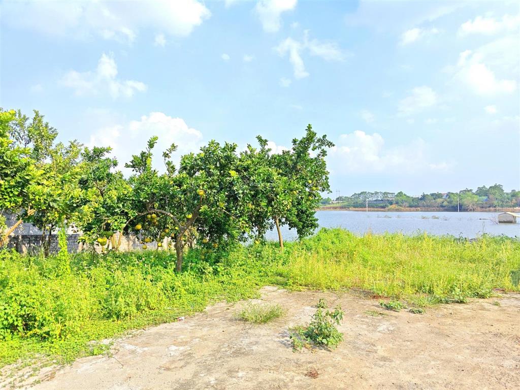 Đất nền phú cát sẵn sổ đường ô tô đỗ cửa
