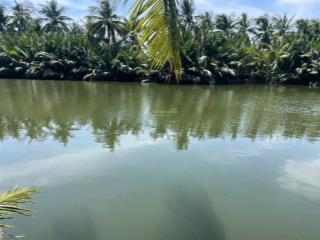 Siêu phẩm 1.957m2 mt cửa đại, hội an giá bán thấp hơn định giá ngân hàng