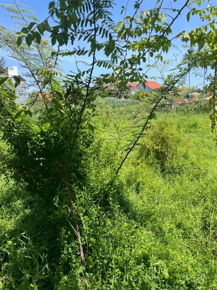 Siêu phẩm 1.957m2 mt cửa đại, hội an giá bán thấp hơn định giá ngân hàng