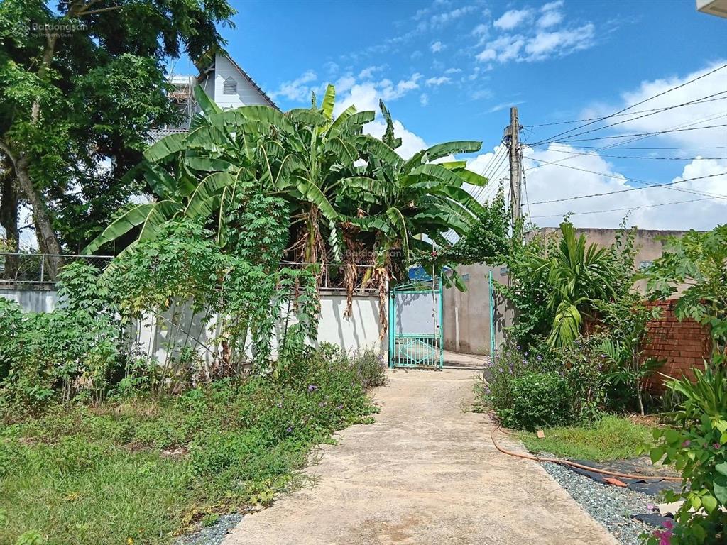 Chính chủ bán 663,9m2 có 70m2 thổ cư, gần ql51, cao tốc, sân bay long thành 3,8 tỷ