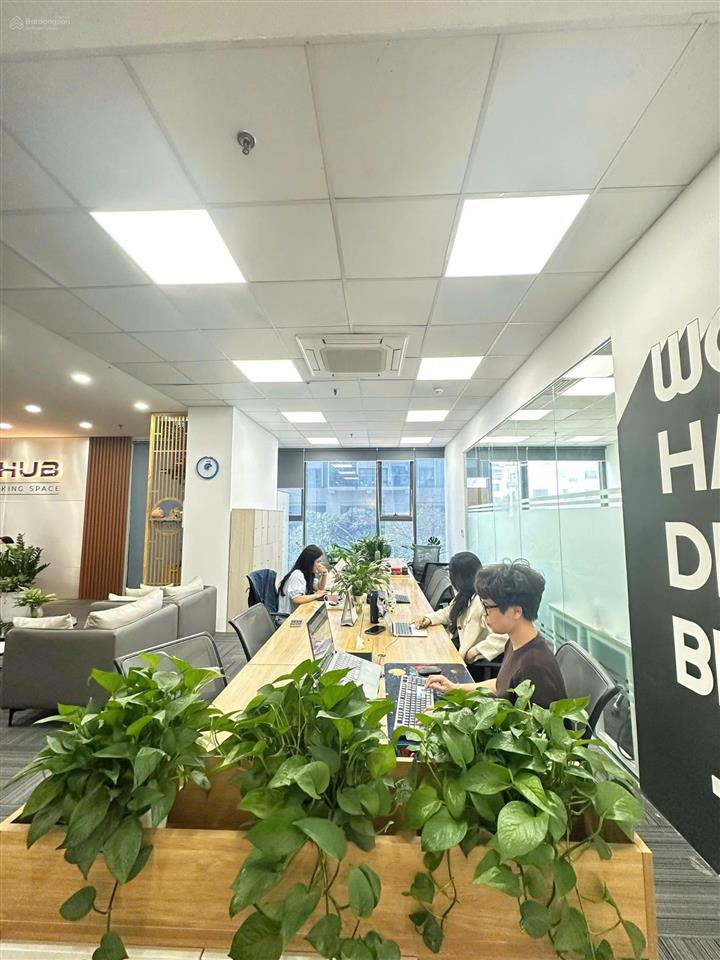 Cho thuê văn phòng tại tòa hạng b mặt phố nguyễn tuân, thanh xuân