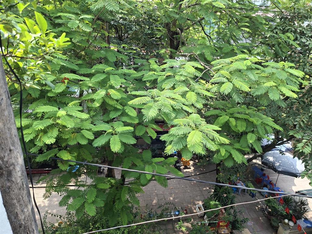 Cho thuê căn hộ tập thể a2 vĩnh hồ