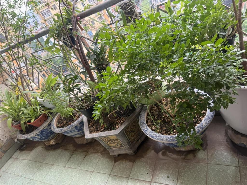 Căn hộ cao cấp 186m2 x 3pn x 3 bancon giữa khu đô thị yên hòa cầu giấy chỉ 76tr/m2.  0933 993 ***