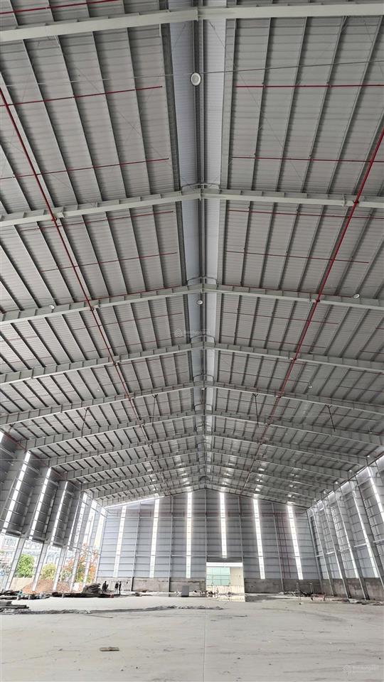 Cho thuê kho 6000m2 tân bình  kề sân bay tân sơn nhất (pccc tự động  cao 21m)