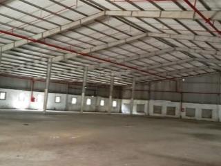 Cho thuê kho 5565m2 trường thọ  thủ đức. ( pccc tự động , cont 24/24 )