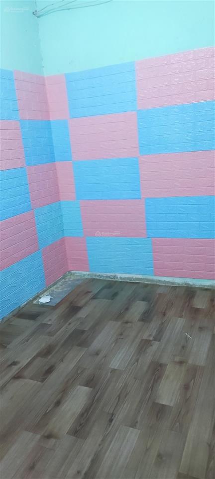 Cho thuê nhà đường hòa bình 4, an hòa, trảng bàng