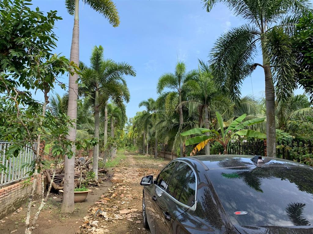 Bán đất biệt thự vườn long phước sát nhà thờ tổ hoài linh  371,6m² ngang 10m 4,5 tỷ (cực hiếm)