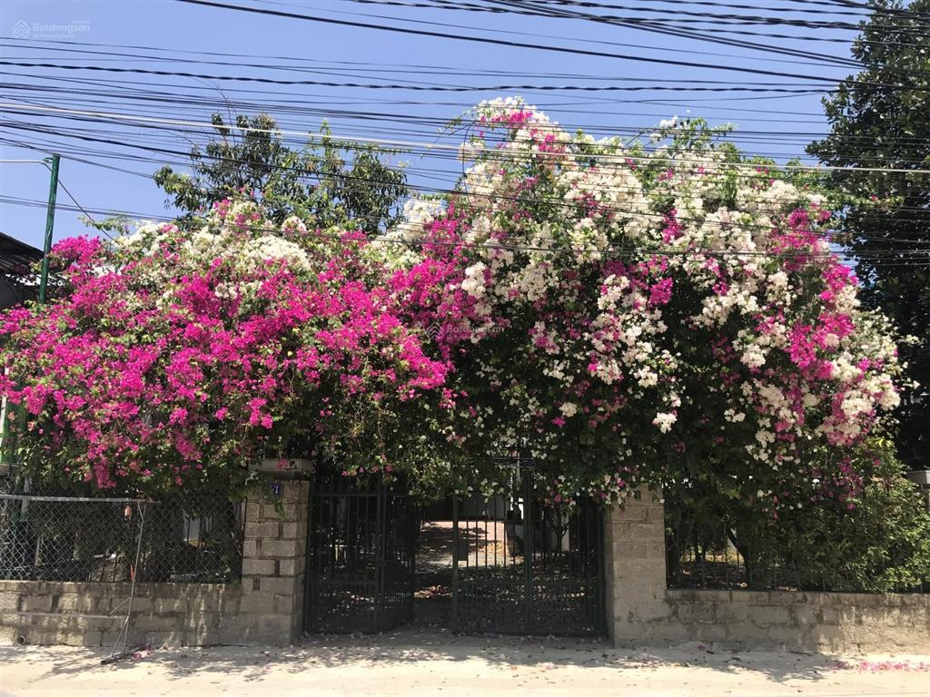 Cho thuê nhà vườn vĩnh thạnh  nha trang, 600m2, 0816 868 ***
