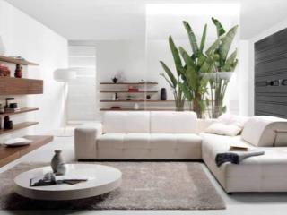 Cho thuê nhanh căn hộ topaz elite, 79m2, 2pn, 2wc có nội thất, giá 11.5 tr, vào ở liền.