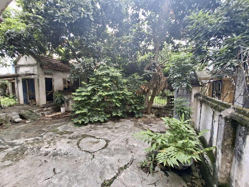 Chính chủ cho thuê nhà riêng có sân vườn ở ngách yên hòa, cầu giấy