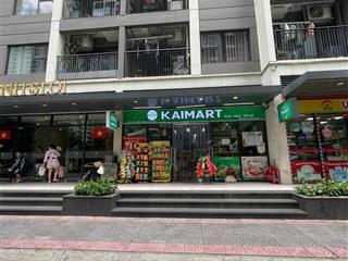 Chính chủ bán shop chân đế vinhomes ocean park 1 dòng tiền 50 triệu/tháng. dt 75m2, 11,5 tỷ