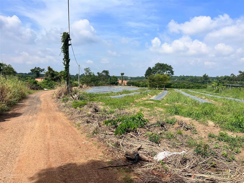Chủ cần bán nhanh 14000m2 hoà hiệp, xã xuyên mộc bà rịa vũng tàu, đất đẹp bằng phẳng giá chỉ 5.5 tỷ