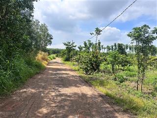 Chủ cần bán nhanh 14000m2 hoà hiệp, xã xuyên mộc bà rịa vũng tàu, đất đẹp bằng phẳng giá chỉ 5.5 tỷ