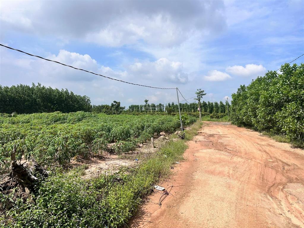 Chủ cần bán nhanh 14000m2 hoà hiệp, xã xuyên mộc bà rịa vũng tàu, đất đẹp bằng phẳng giá chỉ 5.5 tỷ