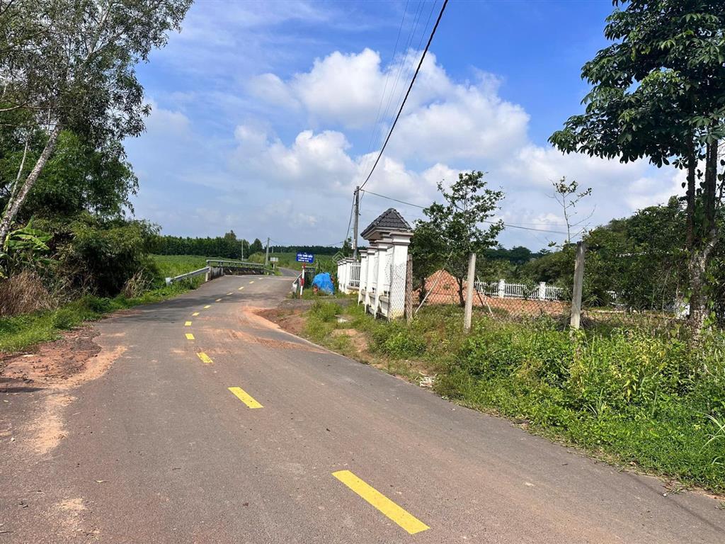 Chủ cần bán nhanh 14000m2 hoà hiệp, xã xuyên mộc bà rịa vũng tàu, đất đẹp bằng phẳng giá chỉ 5.5 tỷ