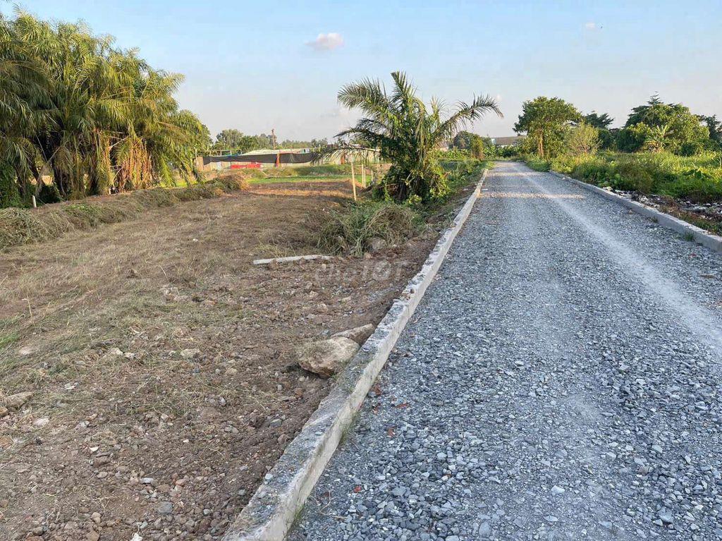 Bán đất Nhị Bình Hóc Môn TP HCM 