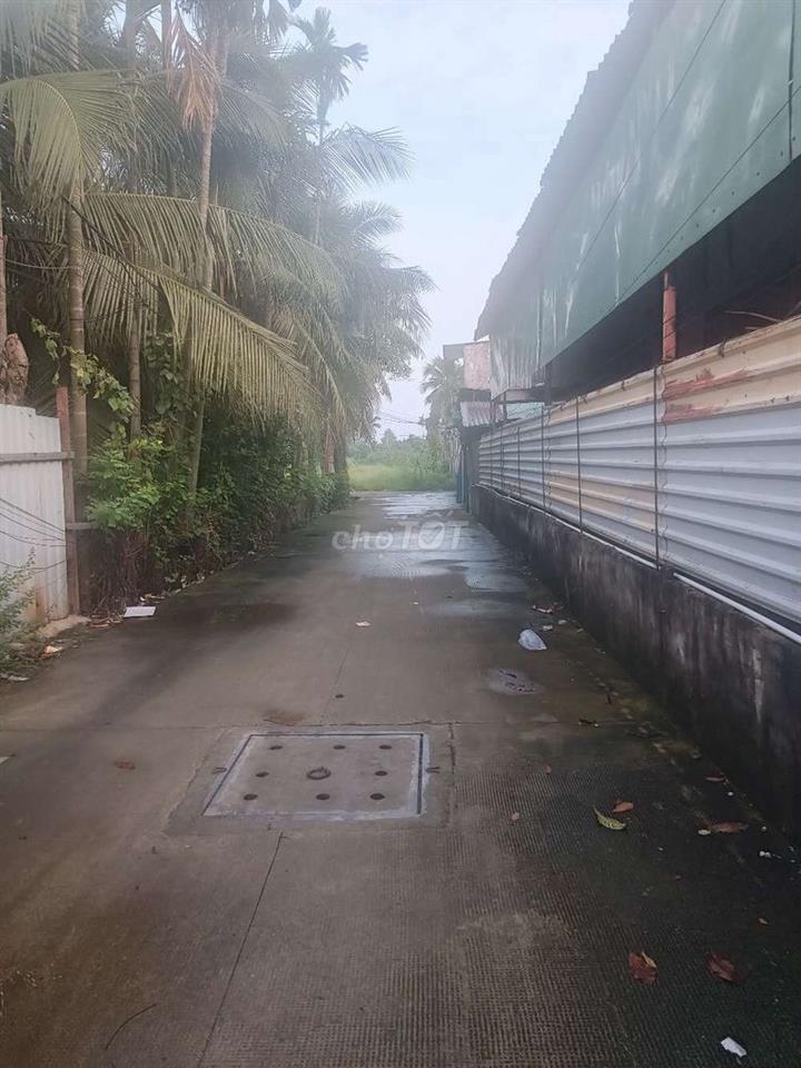 BÁN ĐẤT NHỊ BÌNH ĐÔNG THẠNH HÓC MÔN
