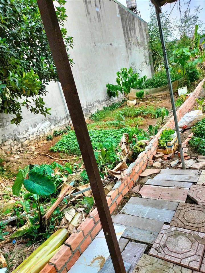 Bán đất chính chủ cạnh kcn bàu xéo