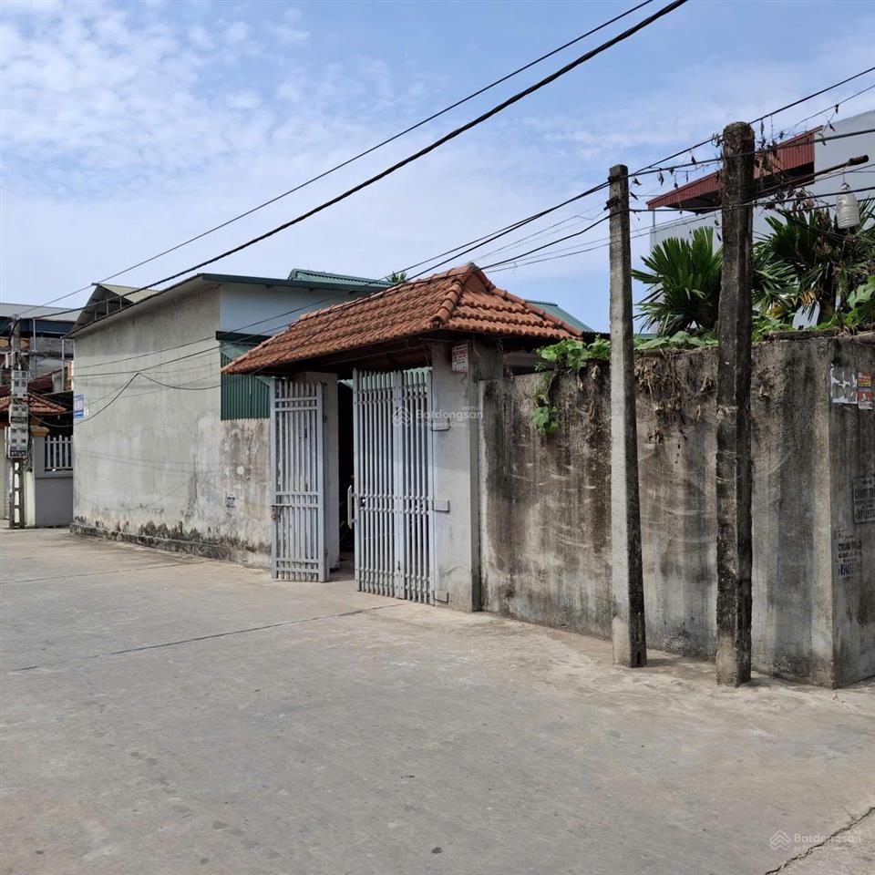 Chính chủ bán lô đất ô tô tải tránh, căn góc 1 mặt đường 1 mặt ngõ phuong ninh xá, bắc ninh 50m mt4