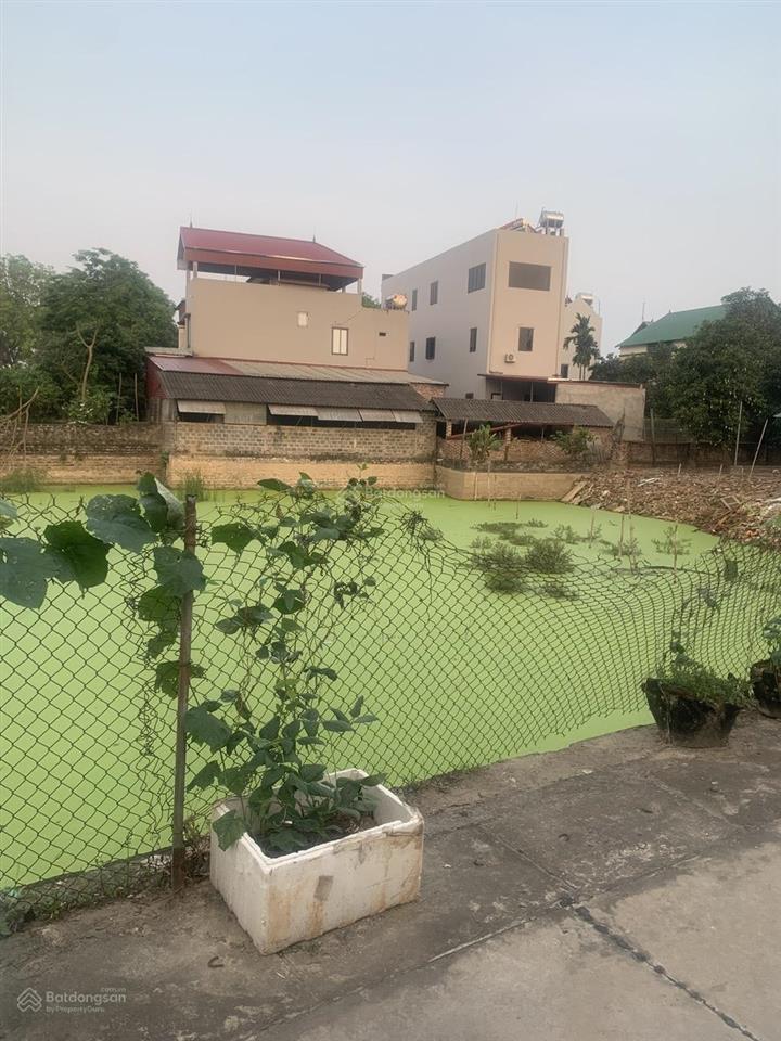 Chính chủ bán lô đất ô tô tải tránh, căn góc 1 mặt đường 1 mặt ngõ phuong ninh xá, bắc ninh 50m mt4
