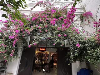 Cần bán biệt thự mini đường số, kdc nam hùng vương, an lạc, bình tân