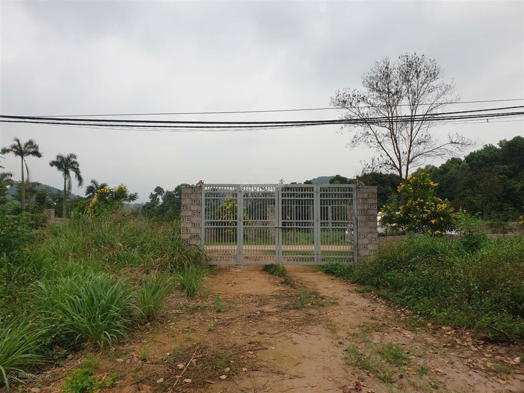 Bán 5.900m2 đất yên bài ba vì  mặt tiền 41m  gần hồ đồng mô  sản phẩm duy nhất  giá tốt tl