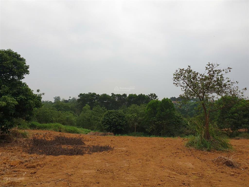 Bán 5.900m2 đất yên bài ba vì  mặt tiền 41m  gần hồ đồng mô  sản phẩm duy nhất  giá tốt tl