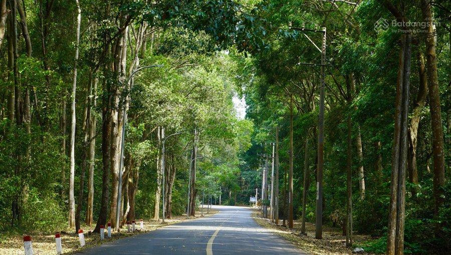 Hàng hiếm ven rừng gần biển giá 3.5 tỷ không còn nhiều