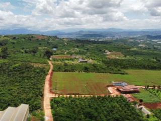 Đất đẹp đinh văn lâm hà chỉ 350 triệu đến 470 triệu