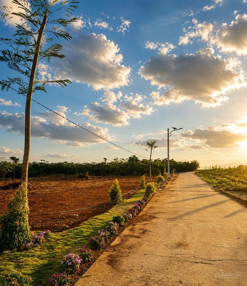 Đất đẹp số lượng có hạn giá tốt đinh văn lâm hà